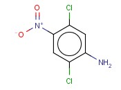 2,5-二<span class='lighter'>氯</span>-4-<span class='lighter'>硝基苯胺</span>