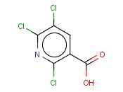 2,5,6-三<span class='lighter'>氯</span><span class='lighter'>烟酸</span>