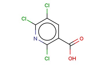 2,5,6-三<span class='lighter'>氯</span><span class='lighter'>烟酸</span>