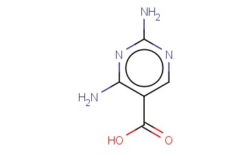 2,4-<span class='lighter'>氨基</span><span class='lighter'>嘧啶</span>-5-羧酸
