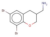 (6,8-DIBROMO-CHROMAN-3-YL)-<span class='lighter'>METHYLAMINE</span>