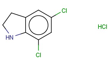 <span class='lighter'>5,7-DICHLORO-2,3-DIHYDRO-1H-INDOLE</span> <span class='lighter'>HCL</span> SALT