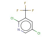 2,5-<span class='lighter'>二</span><span class='lighter'>氯</span>-3-(三氟<span class='lighter'>甲基</span>)吡啶