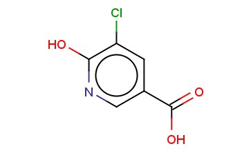 <span class='lighter'>5-CHLORO-6-HYDROXYNICOTINIC</span> ACID