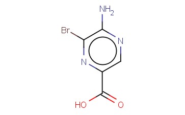 2-<span class='lighter'>氨基</span>-3-<span class='lighter'>溴</span><span class='lighter'>吡</span><span class='lighter'>嗪</span>-5-<span class='lighter'>羧酸</span>