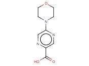 5-(4-吗啉基)-2-<span class='lighter'>吡</span><span class='lighter'>嗪</span>甲酸