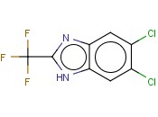 5,6-DICHLORO-2-(TRIFLUOROMETHYL)-1H-BENZIMIDAZOLE