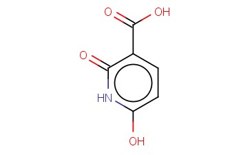 2,6-二<span class='lighter'>羟基</span><span class='lighter'>烟酸</span>