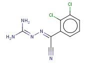 LAMOTRIGINE <span class='lighter'>INTERMEDIATE</span>