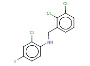 2-CHLORO-N-[(2,3-DICHLOROPHENYL)METHYL]-<span class='lighter'>4-IODOANILINE</span>