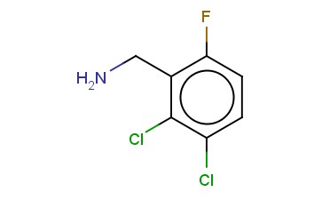 2,3-DICHLORO-6-<span class='lighter'>FLUOROBENZYLAMINE</span>