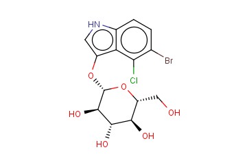 <span class='lighter'>X-GLUC</span>