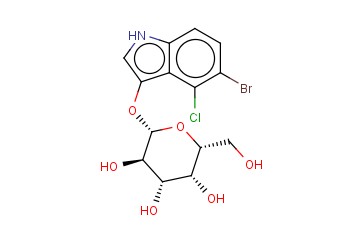 <span class='lighter'>X-GAL</span> READY TO USE