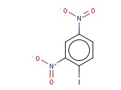 2,4-<span class='lighter'>二</span>硝基<span class='lighter'>碘</span>代苯
