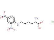 N-(2,4-二硝基苯)-<span class='lighter'>L-</span>赖<span class='lighter'>氨酸盐酸盐</span>
