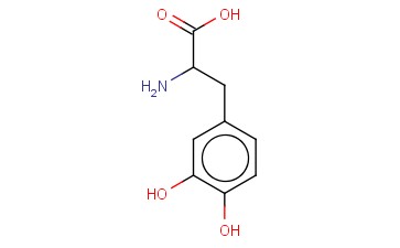 <span class='lighter'>3,4</span>-<span class='lighter'>二</span><span class='lighter'>羟基</span><span class='lighter'>苯丙氨酸</span>