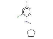 2-CHLORO-N-(CYCLOPENTYLMETHYL)-<span class='lighter'>4-IODOANILINE</span>