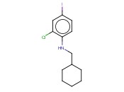 2-CHLORO-N-(CYCLOHEXYLMETHYL)-<span class='lighter'>4-IODOANILINE</span>
