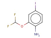 2-(DIFLUOROMETHOXY)-<span class='lighter'>4-IODOANILINE</span>