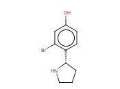 4-((2S)PYRROLIDIN-2-YL)-3-<span class='lighter'>BROMOPHENOL</span>