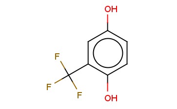 2-(TRIFLUOROMETHYL)<span class='lighter'>HYDROQUINONE</span>
