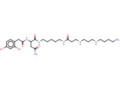乳铁<span class='lighter'>蛋白</span>