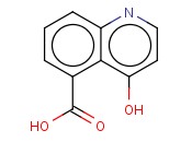 4-<span class='lighter'>HYDROXYQUINOLINE</span>-5-CARBOXYLIC ACID