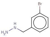 3-BROMO-BENZYL-<span class='lighter'>HYDRAZINE</span>