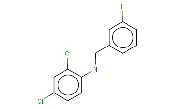 N-(2,4-DICHLOROPHENYL)-3-<span class='lighter'>FLUOROBENZYLAMINE</span>