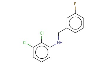 N-(2,3-DICHLOROPHENYL)-3-<span class='lighter'>FLUOROBENZYLAMINE</span>