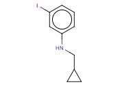 N-(CYCLOPROPYLMETHYL)-<span class='lighter'>3-IODOANILINE</span>