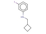 N-(CYCLOBUTYLMETHYL)-<span class='lighter'>3-IODOANILINE</span>