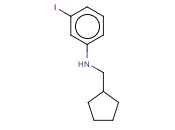 N-(CYCLOPENTYLMETHYL)-<span class='lighter'>3-IODOANILINE</span>
