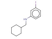N-(CYCLOHEXYLMETHYL)-<span class='lighter'>3-IODOANILINE</span>
