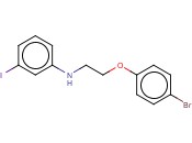 N-[2-(4-BROMOPHENOXY)ETHYL]-<span class='lighter'>3-IODOANILINE</span>