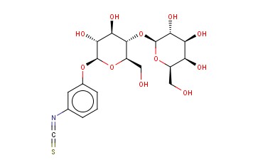 BETA-LACTOPYRANOSYL PHENYLISOTHIOCYANATE