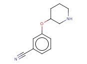 3-(哌啶-3-氧基)<span class='lighter'>苯</span><span class='lighter'>甲</span><span class='lighter'>腈</span>