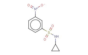 <span class='lighter'>N-</span><span class='lighter'>环</span><span class='lighter'>丙基</span>-3-<span class='lighter'>硝基苯</span><span class='lighter'>磺</span><span class='lighter'>酰胺</span>