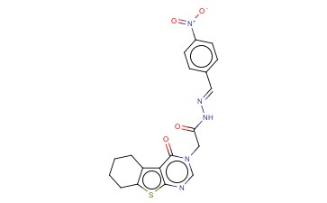 BUTTPARK 128\<span class='lighter'>48</span>-39