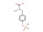 5-<span class='lighter'>嘧啶</span>胺,N-(1-甲基乙基)-