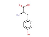 D-<span class='lighter'>TYROSINE</span>