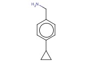 4-<span class='lighter'>环</span><span class='lighter'>丙基</span>苄胺