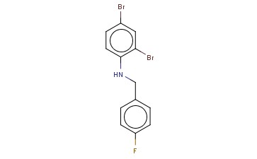 N-(2,4-DIBROMOPHENYL)-4-<span class='lighter'>FLUOROBENZYLAMINE</span>