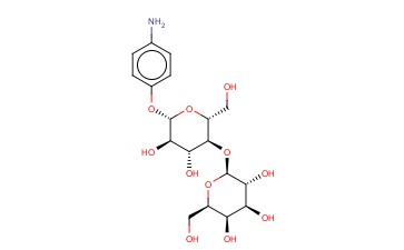 对<span class='lighter'>氨基</span>苯基 beta-D-<span class='lighter'>乳</span>吡喃糖苷