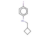 N-(CYCLOBUTYLMETHYL)-<span class='lighter'>4-IODOANILINE</span>