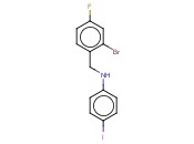N-[(2-BROMO-4-FLUOROPHENYL)METHYL]-<span class='lighter'>4-IODOANILINE</span>