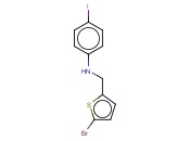 N-[(5-BROMOTHIOPHEN-2-YL)METHYL]-<span class='lighter'>4-IODOANILINE</span>