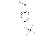 4-<span class='lighter'>三</span><span class='lighter'>氟</span><span class='lighter'>甲</span><span class='lighter'>氧基</span><span class='lighter'>苯</span>肼