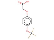 4-(<span class='lighter'>三</span><span class='lighter'>氟</span><span class='lighter'>甲</span><span class='lighter'>氧基</span>)<span class='lighter'>苯</span><span class='lighter'>氧基</span>乙酸