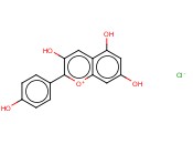 <span class='lighter'>3,4</span>',<span class='lighter'>5,7-TETRAHYDROXYFLAVYLIUM</span> <span class='lighter'>CHLORIDE</span>